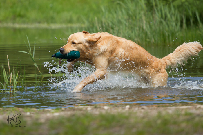 Du betrachtest gerade Neue Termine!