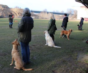 Mehr über den Artikel erfahren Ein toller Dummykurs geht heute zuende…